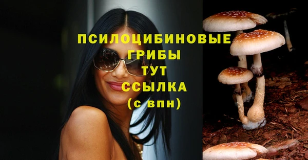таблы Алексеевка
