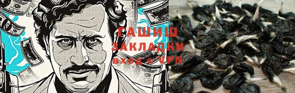 гидра Алзамай